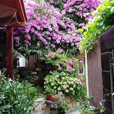 Apartman I Sobe Cule Cres Exteriér fotografie